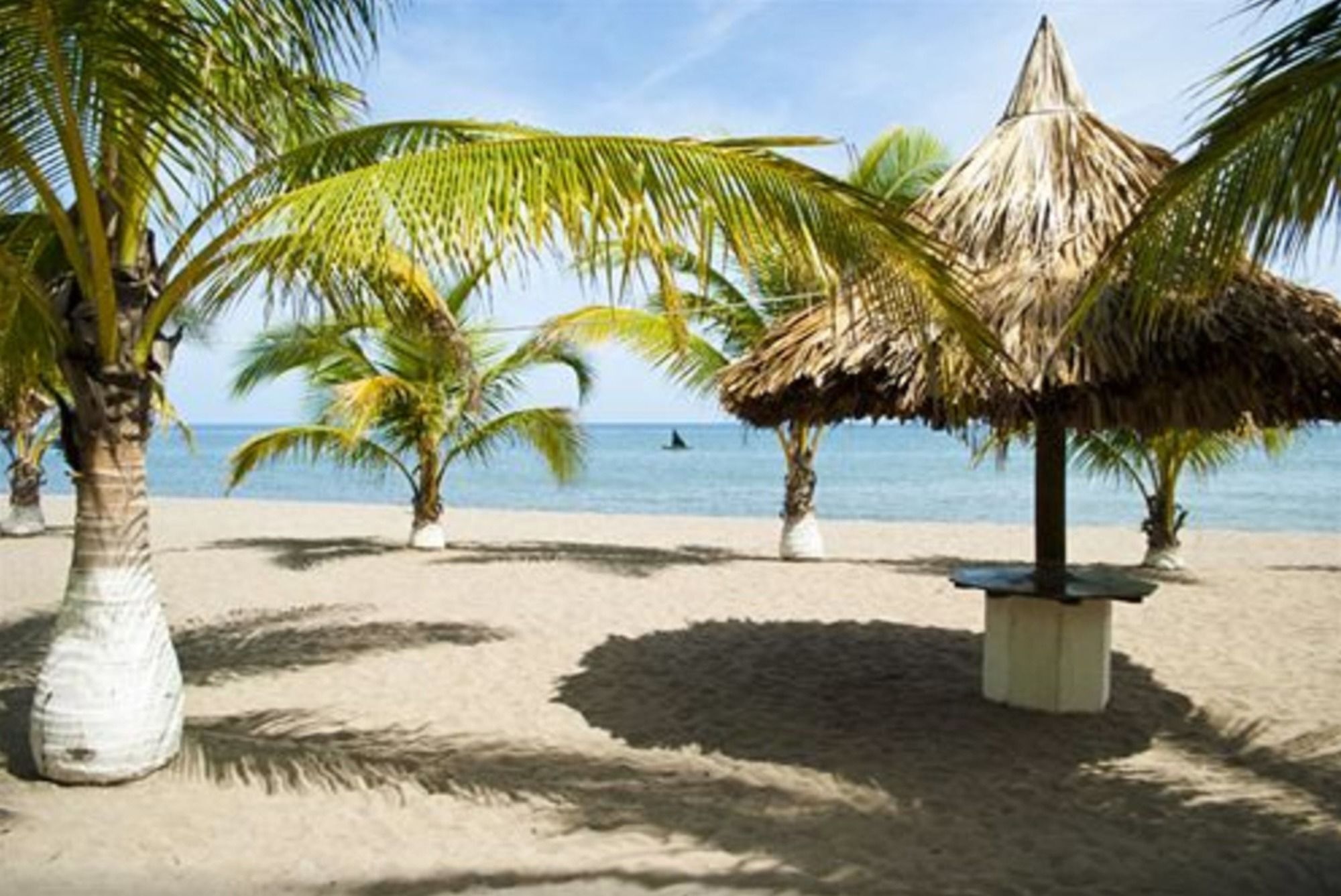 Hotel Quinta Real La Ceiba Exterior photo